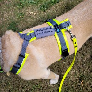 Naamtag hulphond gepersonaliseerd hondentuig tuigje met naam en telefoonnummer tekstlabels naamlabel penning labels halsband