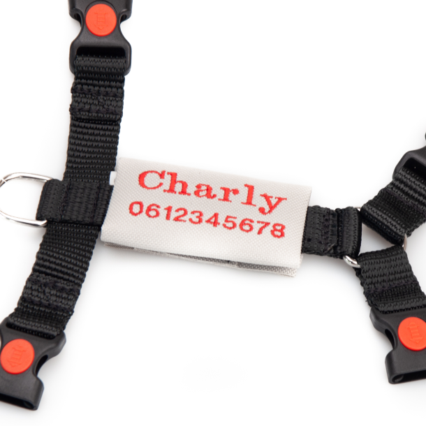 Hondentuig En Riemset, Geen Trekkracht, Verstelbaar Reflecterend Instaptuigje Voor Puppy S Met Dik Gewatteerd Vest Voor Extra Kleine Kleine Middelgrote Honden Hondentuig En Riemset, Geen Trekkracht, Verstelbaar Reflecterend Instaptuigje Voor Puppy S Met Dik Gewatteerd Vest Voor Extra Kleine Kleine Middelgrote Honden