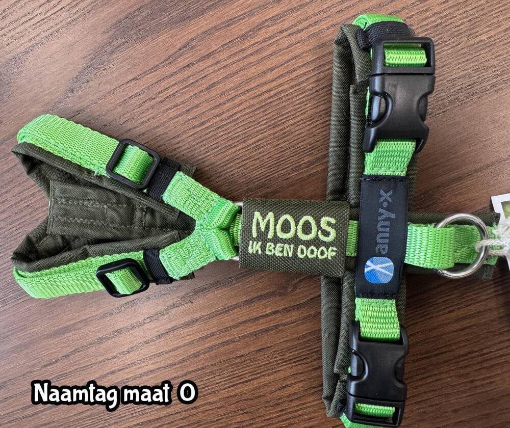 Naamtag naamlabel hond klein hondje