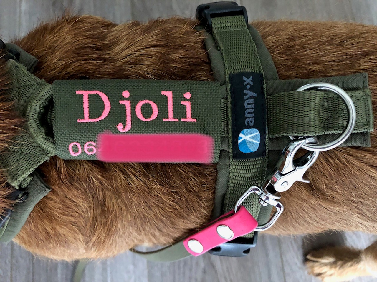 Naamtag naamlabel naam telefoonummer hond voor gepersonaliseerd tuig met tekst