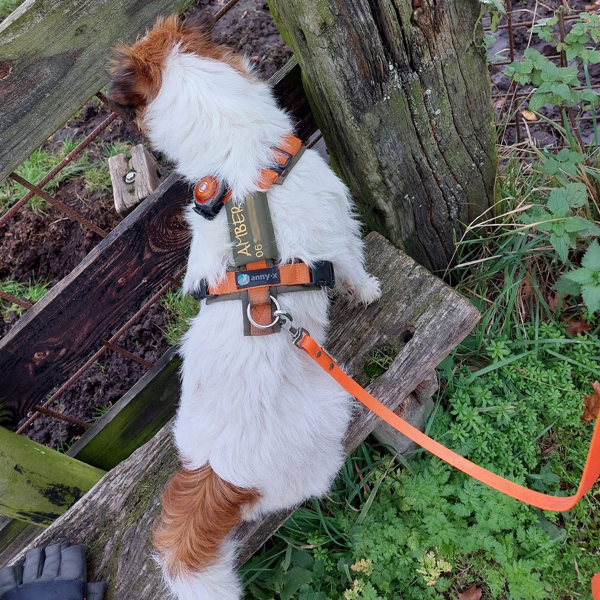 Tuig met naam telefoonnummer label naamtag stof jack russel