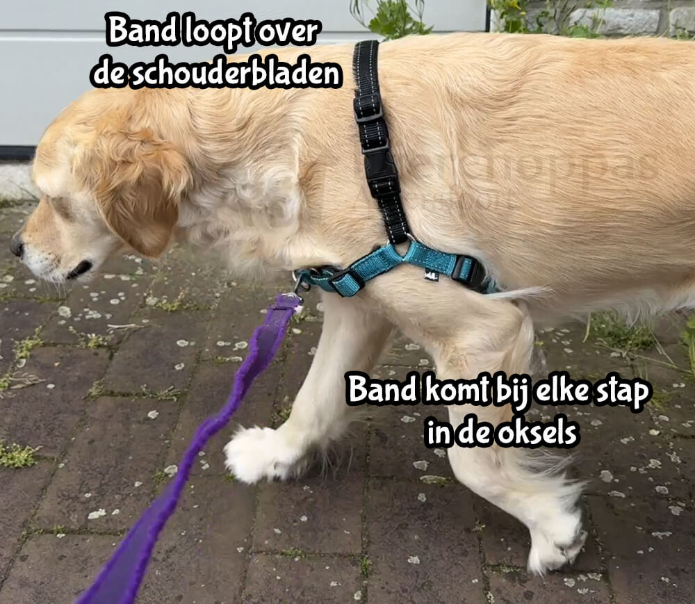 anti trek tuig hond