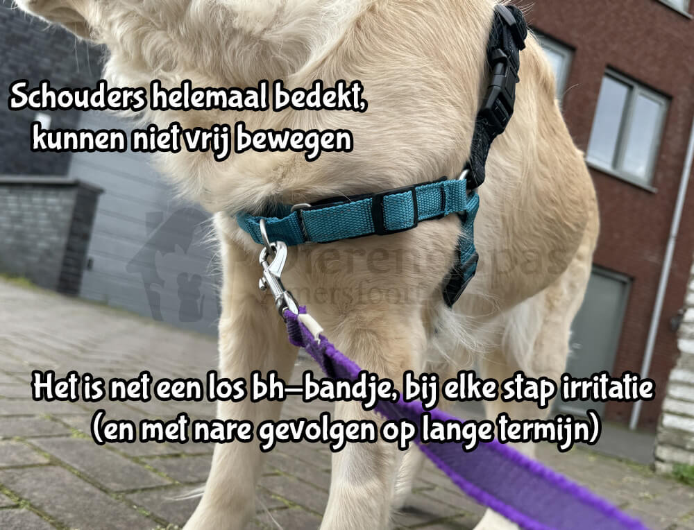 anti trek tuig sterke hond
