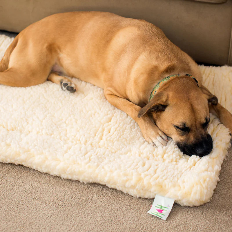 reinigen temperatuur uitroepen Onverwoestbare hondenmand & kussen met de Hugglefleece mat
