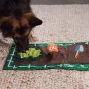 Nina Ottosson activiteiten mat hond garden tuin groentes