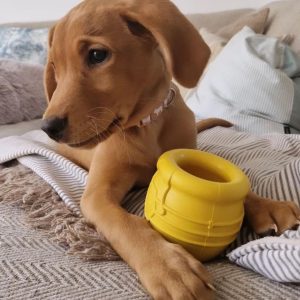 SodaPup Honingpot honey pot Large hond Voerspeeltje puppy