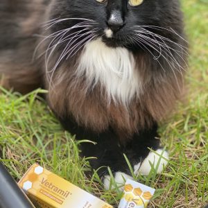 Vetramil honingzalf voor kat katten