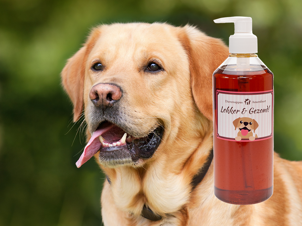 Avonturier wasmiddel Octrooi Werkt het echt? Zalmolie hond tegen verharen & schilfertjes!