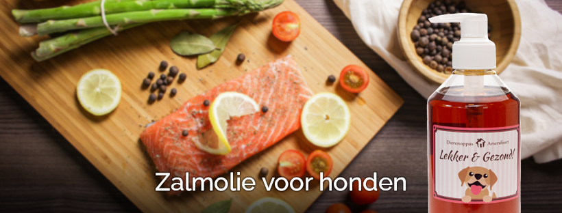 bijstand voeden slang Werkt het echt? Zalmolie hond tegen verharen & schilfertjes!