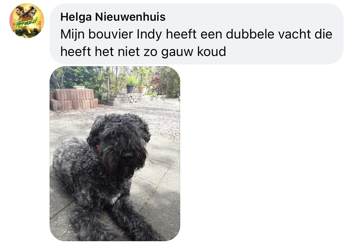 Boevier Bouvier heeft het niet koud in winter dubbele vacht