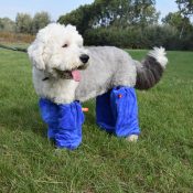 Sokken mouwen voor honden hondensokken hondenmouwen trimsalon blauw socky