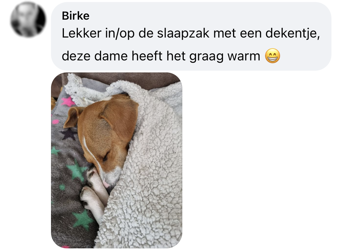 Temperatuur in huis voor hond verwarming kou beagle slaapzak