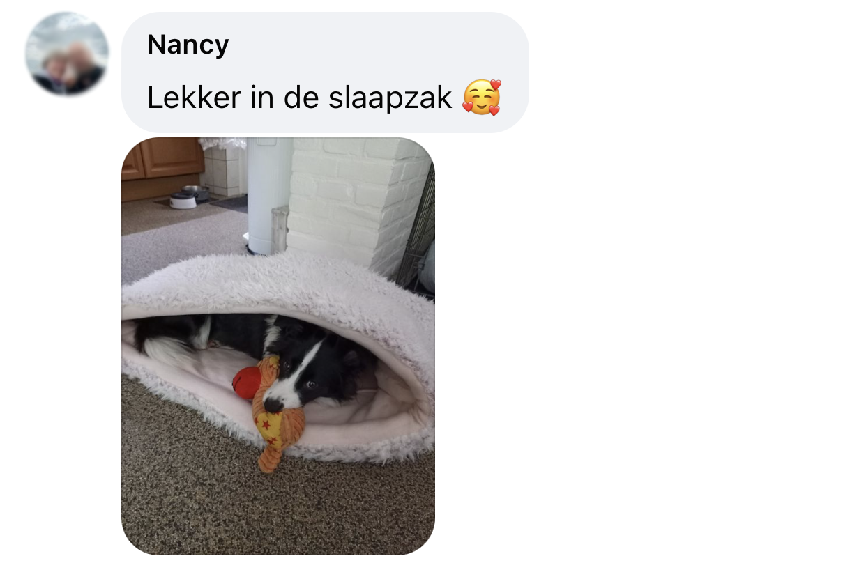 Temperatuur in huis voor hond verwarming kou klein hondje slaapzak