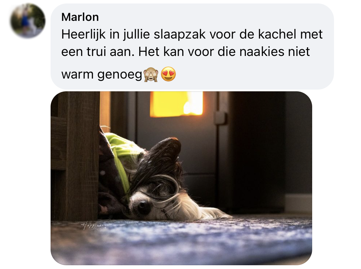 Temperatuur in huis voor hond verwarming kou naakthond slaapzak