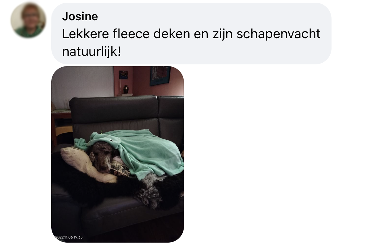 Temperatuur in huis voor hond verwarming kou schapenvacht deken