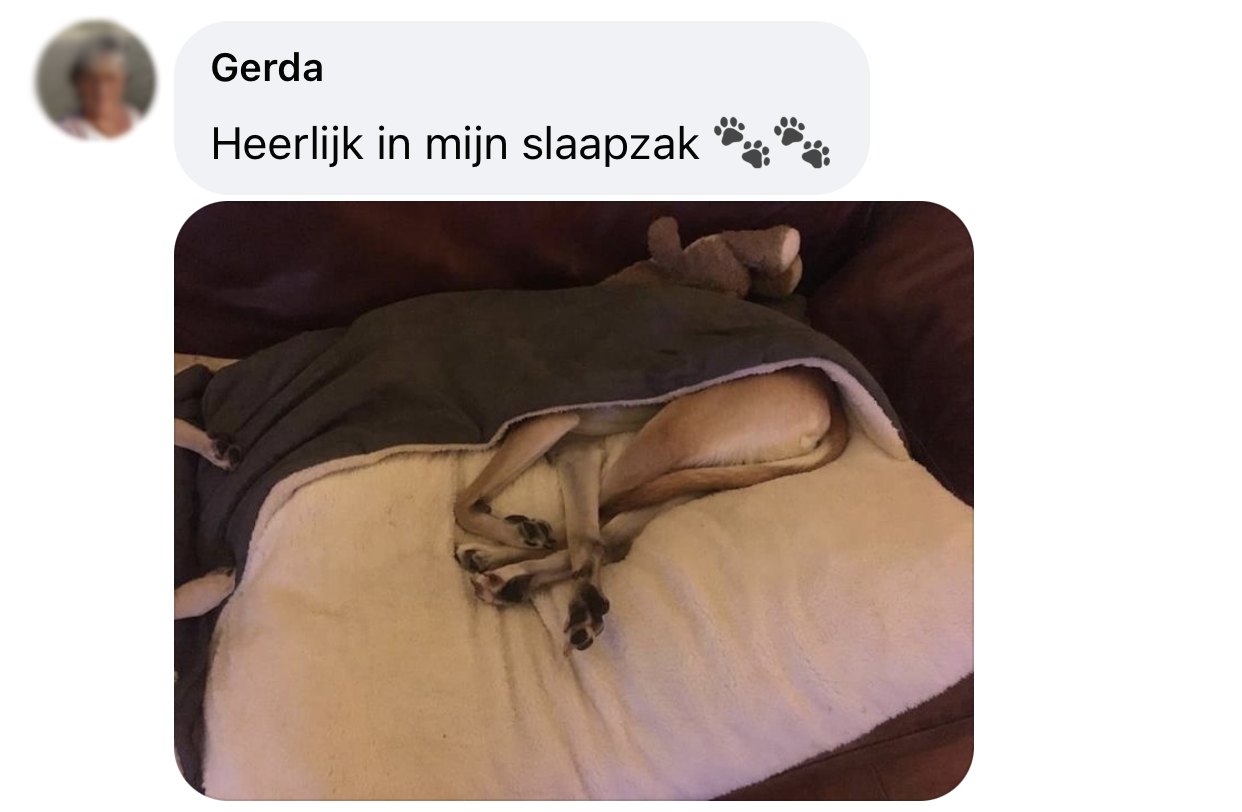 Temperatuur in huis voor hond verwarming kou windhond slaapzak