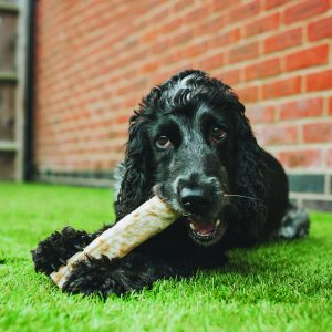 Earth Animal bot kauwstaaf snack botjes cocker spaniel