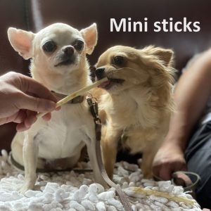 No Hide Earth Animal mini sticks hond