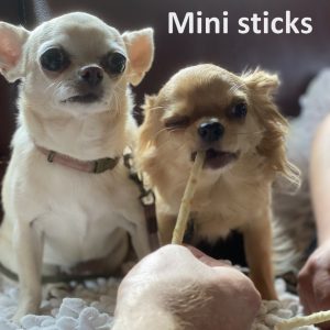 No Hide Earth Animal mini sticks hond botje klein hondje chihuahua