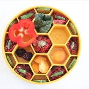 SodaPup Honingraat Honeycomb Anti-schrokbak Beste review & Getest