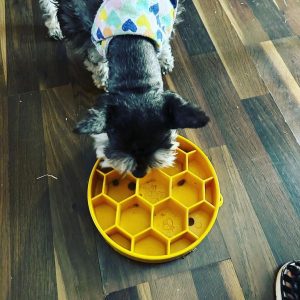 SodaPup Honingraat Honeycomb Anti-schrokbak ervaring hond