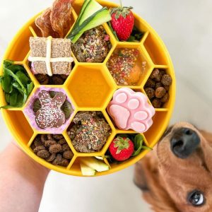 SodaPup Honingraat Honeycomb hond Anti-schrokbak Beste review & Getest!