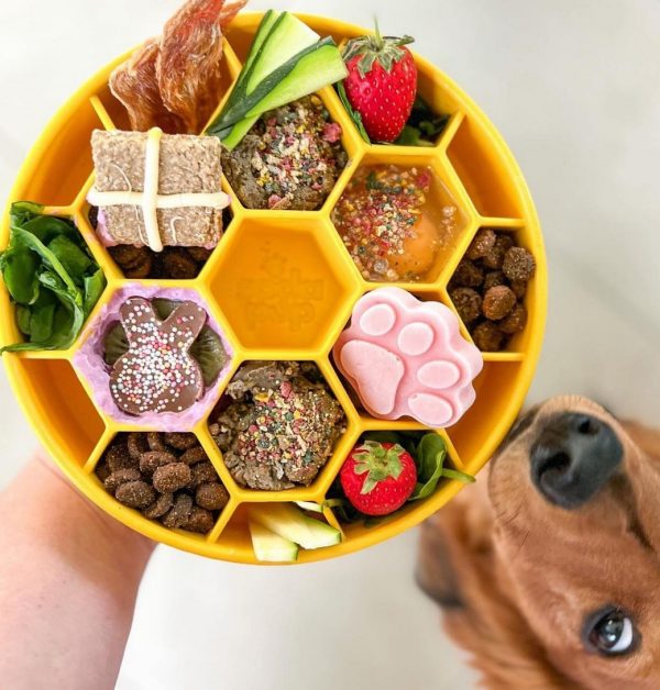 SodaPup Honingraat Honeycomb hond Anti-schrokbak Beste review & Getest!