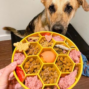 SodaPup Honingraat Honeycomb hond vers vlees