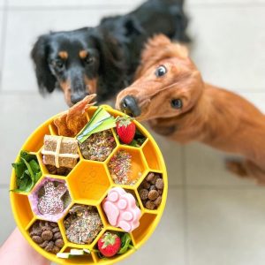 SodaPup Honingraat hond Honeycomb Anti-schrokbak, Beste review & Getest!