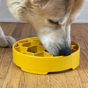 Sodapup Soda Pup Hond speelgoed honingraat honing Honeycomb Design Ebowl Slow feeder ervaring