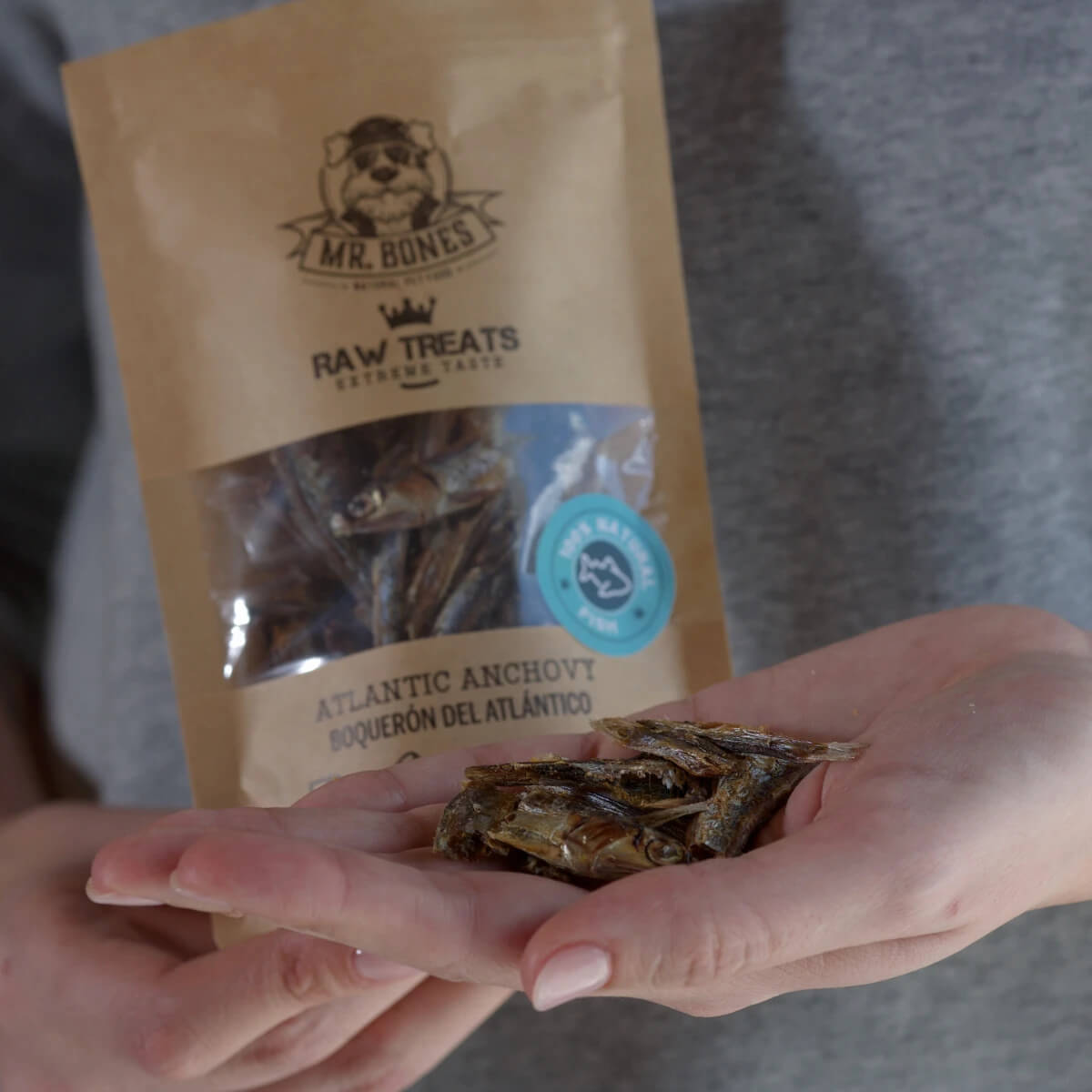 mag een hond ansjovis