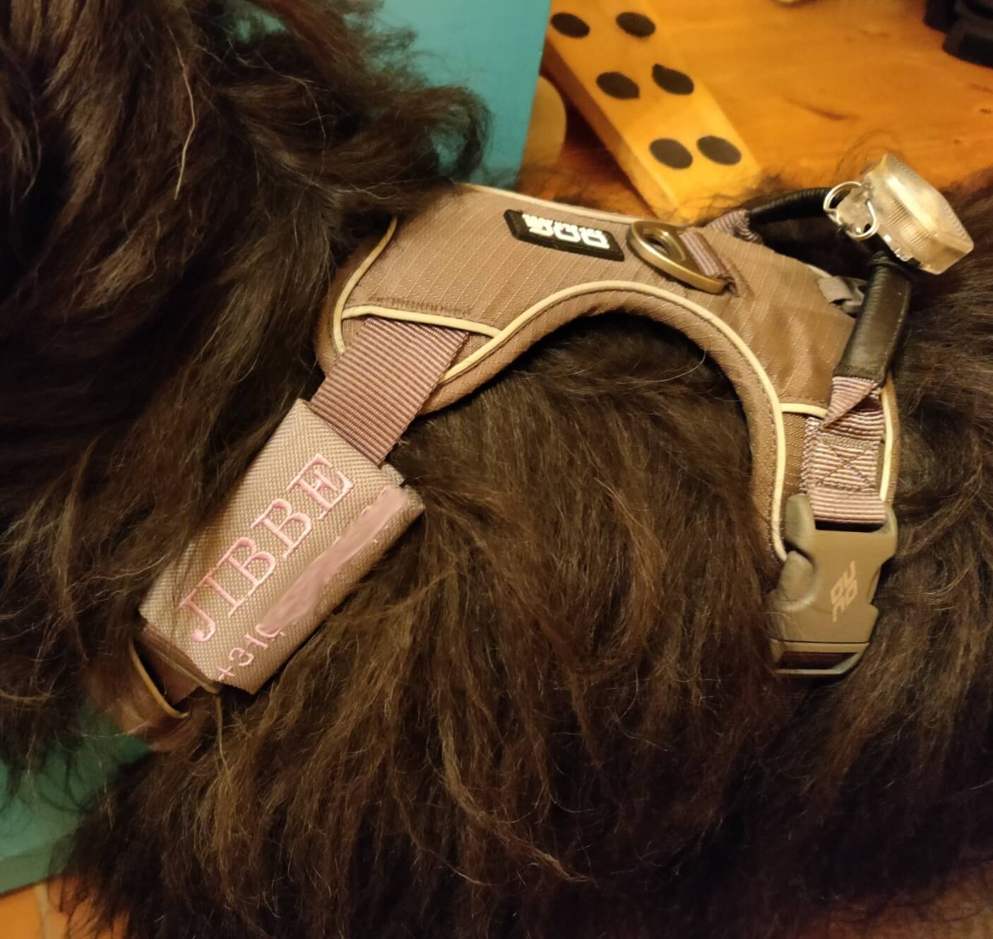 Dog Copenhagen tuig met naam