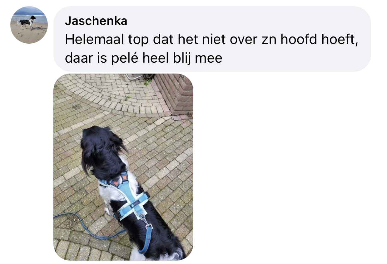 Hond bang voor tuigje ervaring