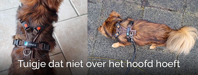 Hondentuigje dat niet over het hoofd hoeft tuigje hond neksluiting