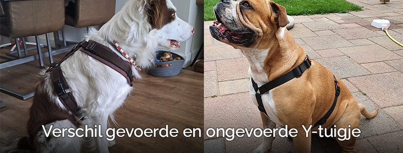 Verschil gevoerde en ongevoerde Y-tuigje