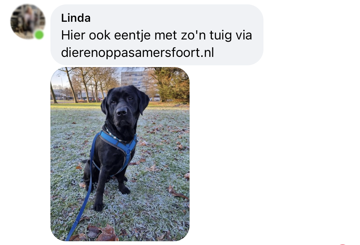 Harnas hondentuig voor labrador