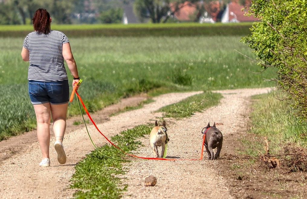 Wandelen zonder trekken ontspannen met lange hondenriem