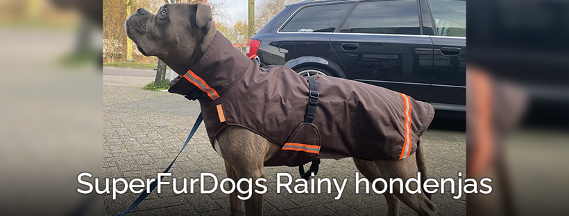 Amerikaanse bulldog stafford regenjas winterjas jas hond