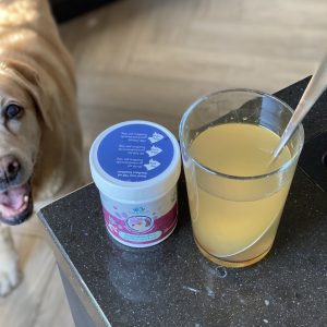 Bottenbouillon bone broth hond kopen