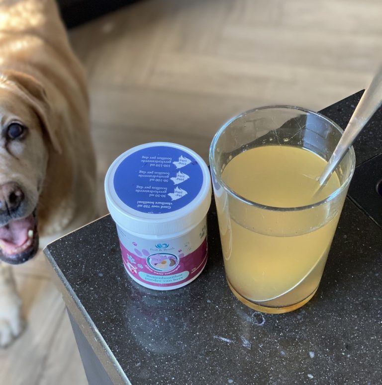 Bottenbouillon Hond Wat is Bone Broth & hoe gebruik je het?