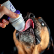 DoggyRoller TreatRoller Beloningsroller vloeibare snack beloning hond voorbeeld