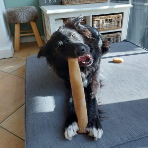 Elandkophuid XXL grote hond ervaring harde snack