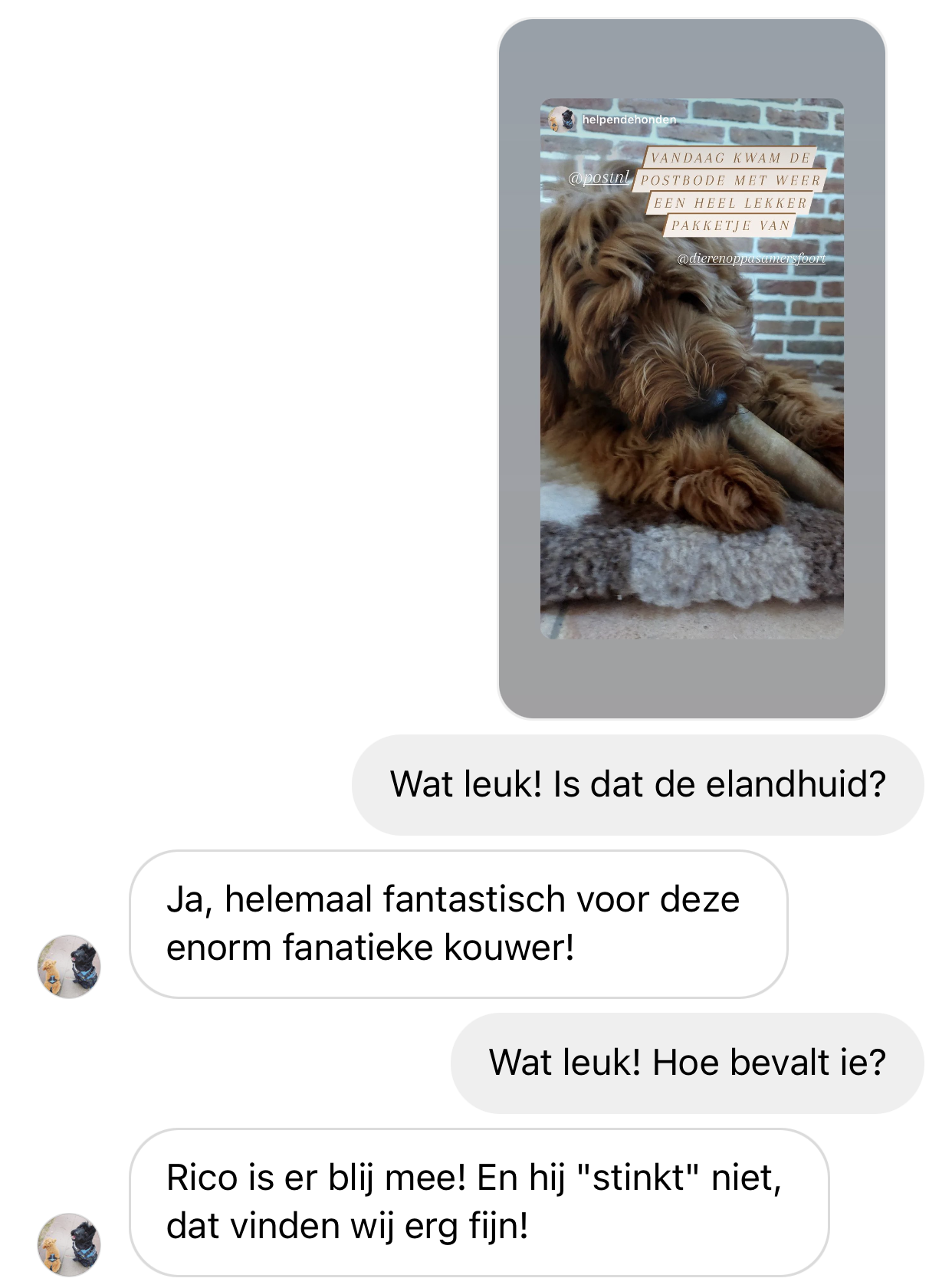 Ervaring elandkophuid eland bot hond