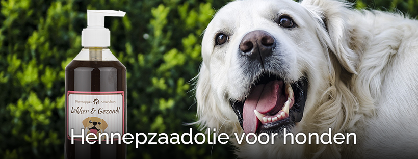 Hennepzaadolie hond ervaringen hennepolie hond kopen huidproblemen welkoop action