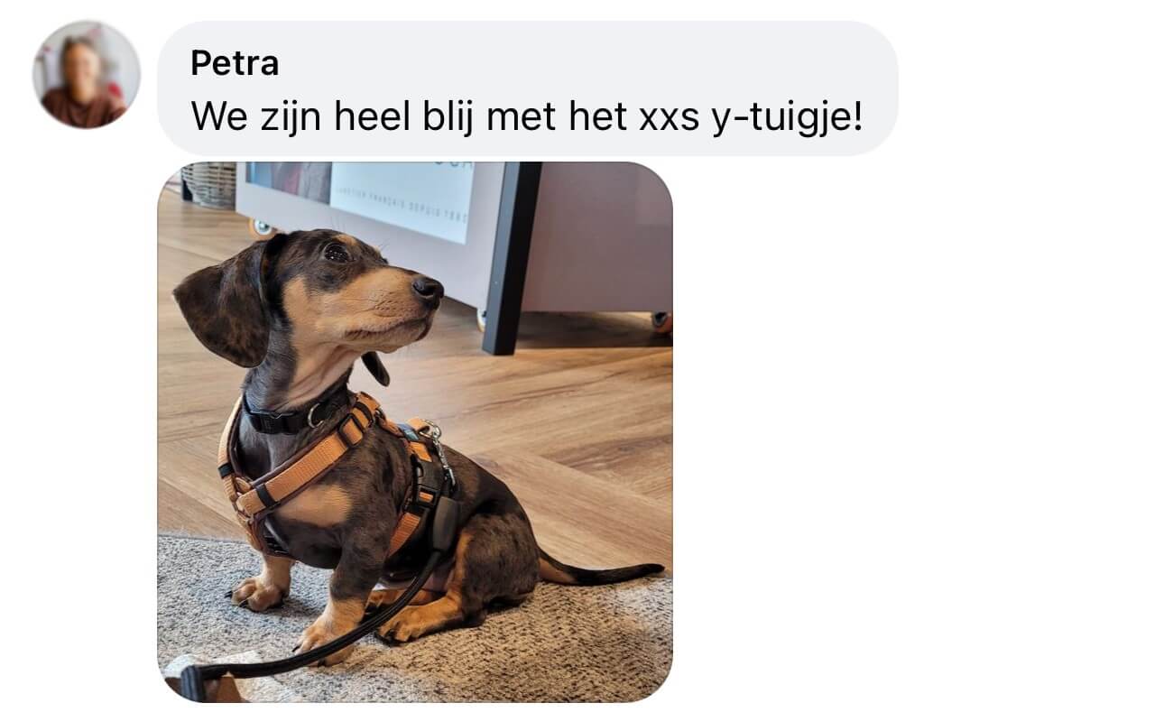 Het beste tuigje voor teckel