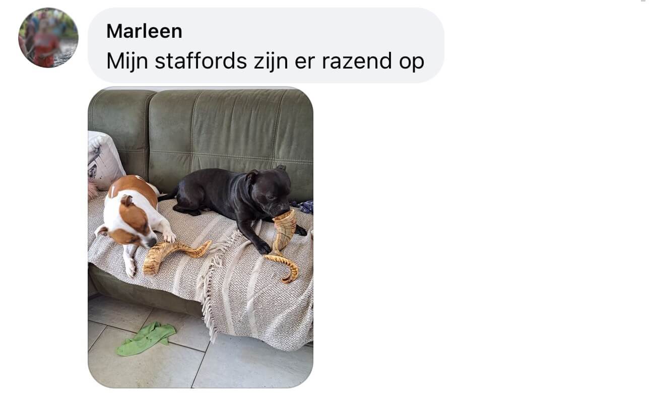 Kluif voor staffords ervaring