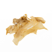 Rendierhuid stukjes kauwbot hond rendier scandinavië hypoallergeen chip