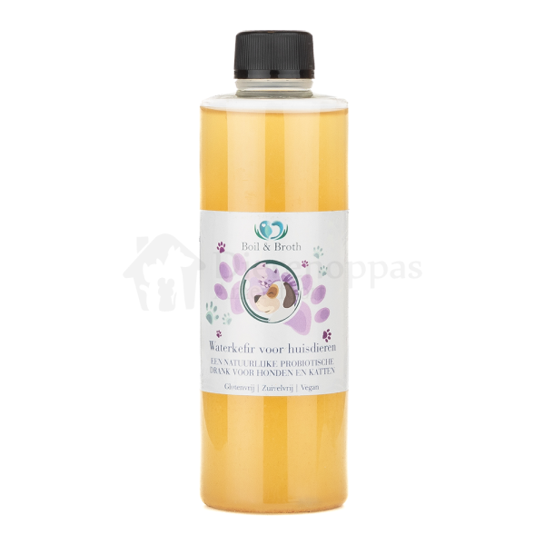 Boil Broth waterkefir probiotica water kefir voor honden