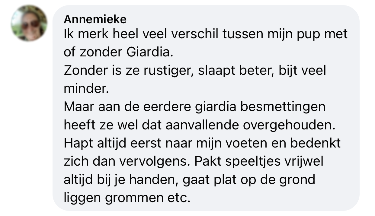 Ervaring giardia hond gedrag