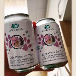 Kefir hond waterkefir hond probiotica kopen